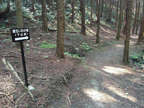 今日は暑いので雨乞いの小径（下山道）で沢筋を降りる