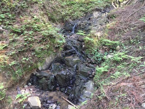 これが三の滝！？沢沿いらしい道になってきた。