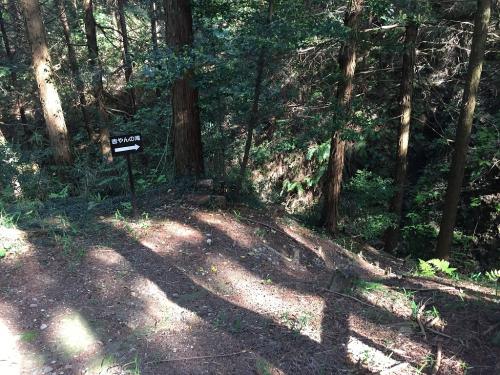 下山途中に「吉やんの滝」って気になるのでいってみた