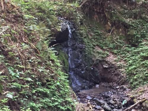 これが吉やんの滝・・・う～ん、なんとも・・・何もいえずw