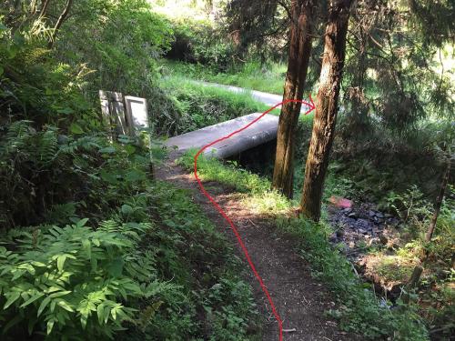 沢筋が終わって道路に出る。これを右へ