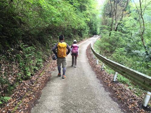 編笠山から下ったところに車を置いて林道流谷線を下りタツガ岩に向かいます。