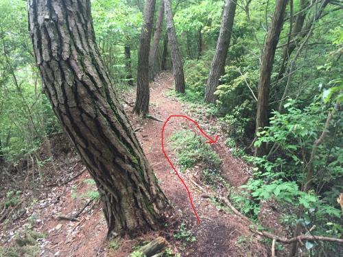 登山道にはいってすぐ右に折れるところがあるのでそこを下っていく