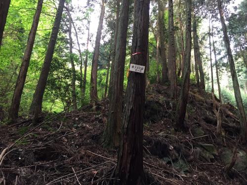 東タツガ岩の登り口
