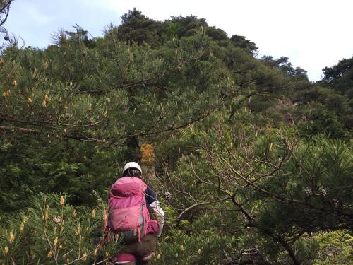ここの開けたところまでくると岩場までもう少し