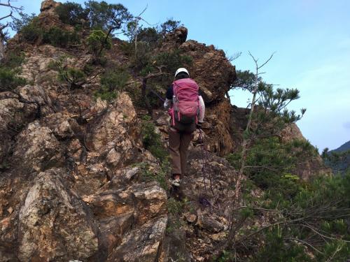 なかなかうまくなってきた