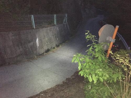 カーブのところまで戻ってきました。これから林道を登っていくことに・・・＞＜