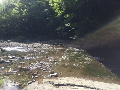 最初に沢を渡るけど、水かさが増していてちょっと渡るのに苦労した