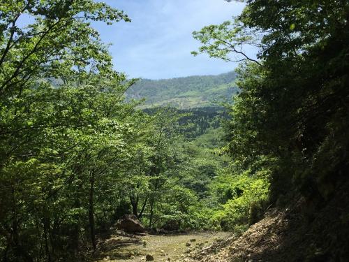 樹林の隙間から神仙平が見えてきた