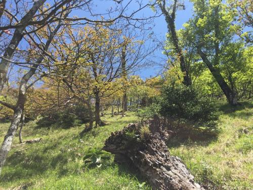 国土地理の示す船の峠が見えるがまだまだ遠い