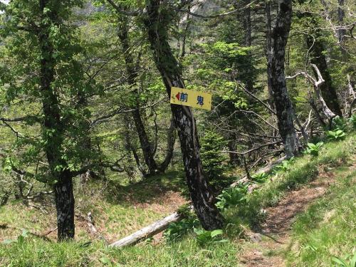 奥駆道にでると前鬼という看板だけあって、舟の峠というのはなかった