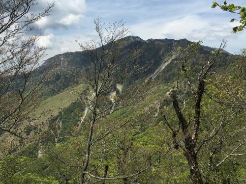 明星ヶ岳が見えたが、ここからみるとかなり大きい