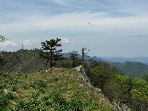 大普賢岳もこの通り綺麗に三兄弟が並んで見える
