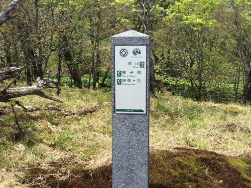 予定では楊枝宿にいくか考えたが、朝からの迂回やらバテで時間ロスしてるので直接七面山へ行ってアケボノ平で休むことにした