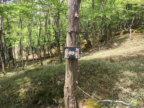 もうボロボロなこんなプレートがあった