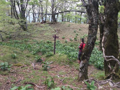 プレート近くで綺麗な道標あり