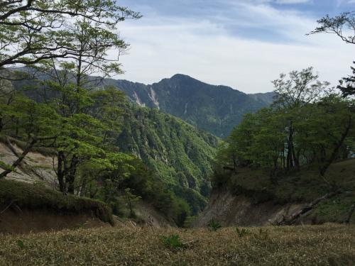 ここで釈迦ヶ岳が顔を出した