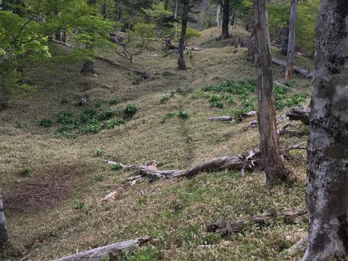 七面山への登りはここあたりから始まる。標高100mだけどかなり急登。しかももうヘトヘトなのに・・・