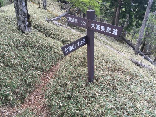 短い時間だけど急登を登って七面山のコル部に出た