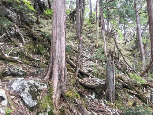 続いて西峰へ向かう