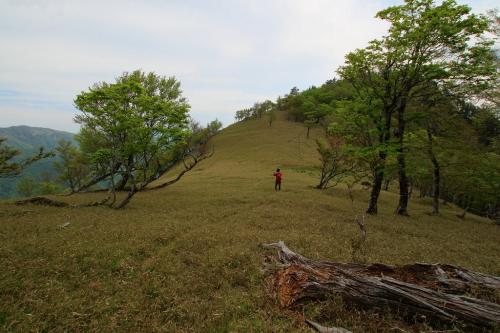 ここは歩くと絵になる