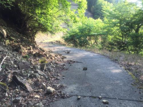 また長い林道が始まるのね・・・