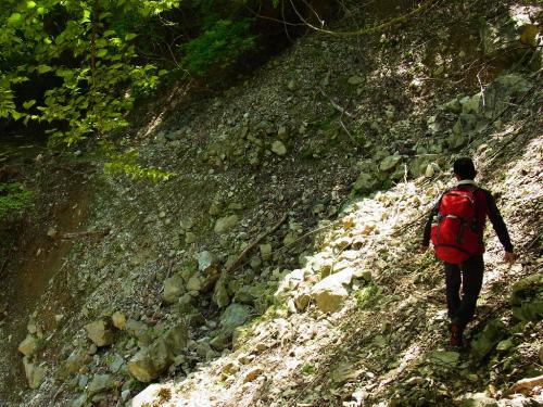 ここからは頂いた画像を少し載せます崩壊場所の通過