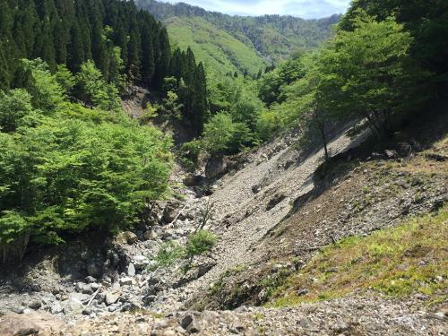 ここが林道終点で右側の樹林帯の中を沢にそってつきあがっていく感じになる