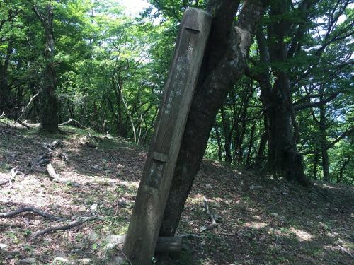 山頂まであと600m急登ながらも、あと少しなんだと思いつつ・・・