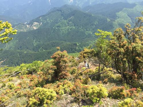 登りもだったけど母のスピードが速い