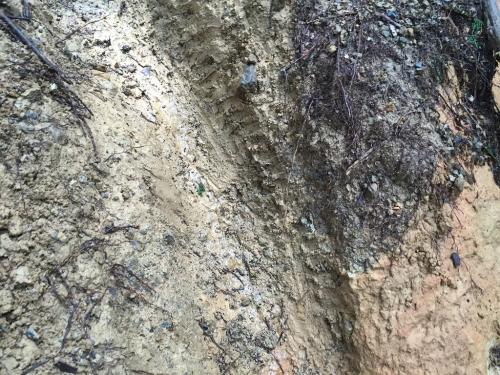 エンデューロしてるMTXのタイヤの跡がある