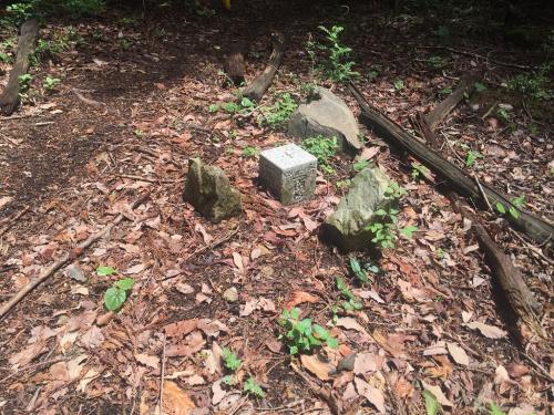 P773三角点に到着