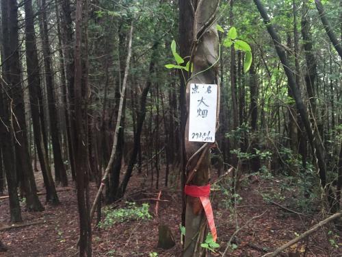 点名は大畑らしい