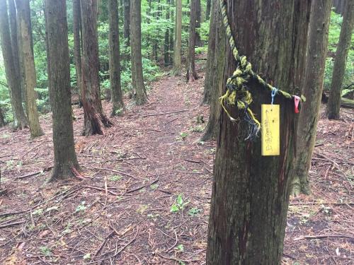 ここではじめて南葛城山へプレートがでてきた