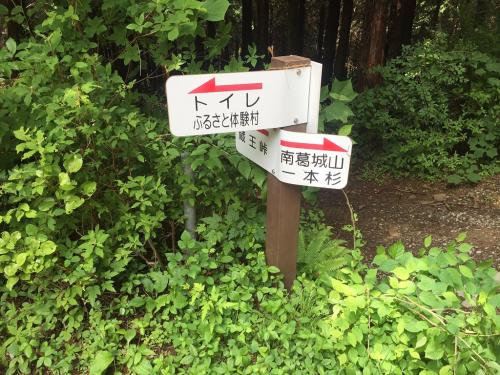 林道にはきっちりした道標があった