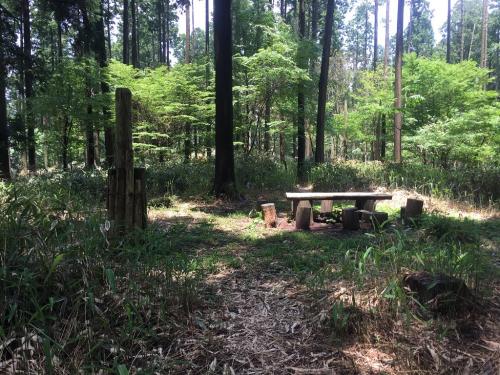 南葛城山の山頂についた