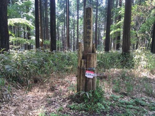 南葛城山山頂（922m）