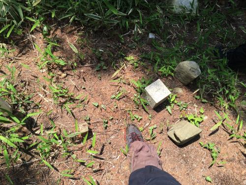 南葛城山三角点（898.2ｍ）を発見