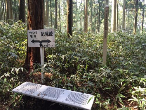 一本杉に向かいました。ここから紀見峠までいけるのか