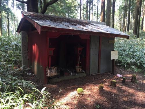 一本杉は何かに祭られていたけど、この辺杉だらけでは？