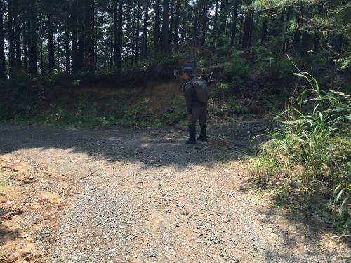 左に大きく折れるところで右の登山道に入り尾根に戻る