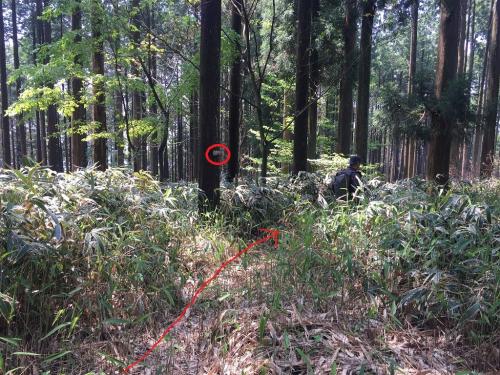 今回は三角点を目指します。このプレートのある道のところに入っていきます