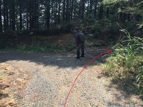 左に大きく折れるところで右の登山道に入り尾根に戻る