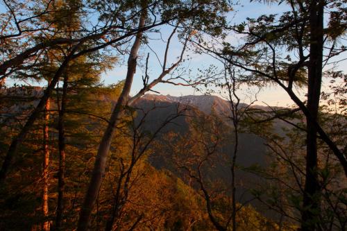 このあたり、樹林の間から宝剣岳が覗く