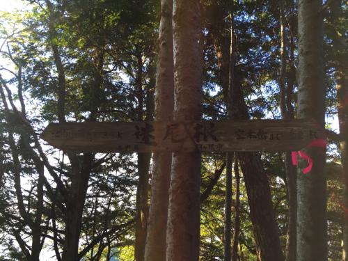 おそらく池山小屋3.2kmという表示だと思うけど、空木までまだあと3.2kmある。この3.2km