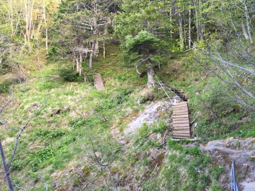 梯子の連続。これを登りつめれば、またダラダラした道が続くが、ここもそこまでしんどくなかった