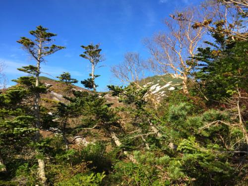 森林限界地点。何やらピークが見える