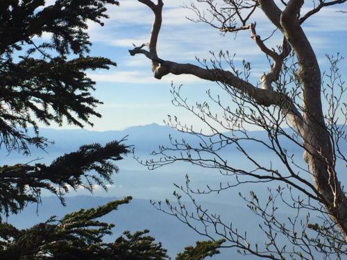 雲海が気になって仕方がない