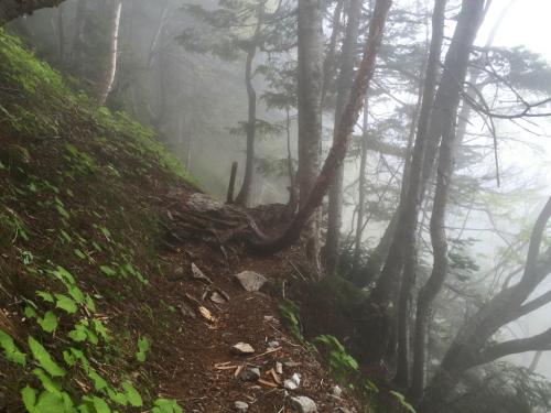 下山途中ですっかりガスの中に入ってしまった