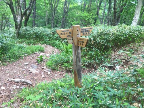 池山小屋の分岐までもどってきた。ここまで長かった